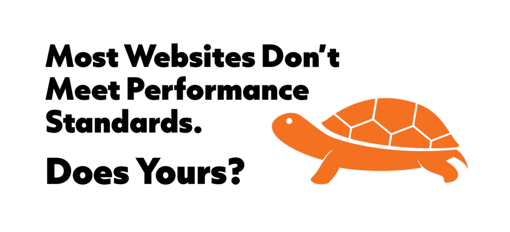 orange turtle