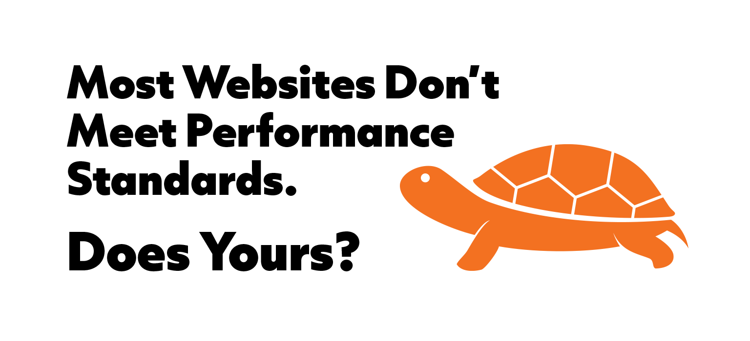 orange turtle