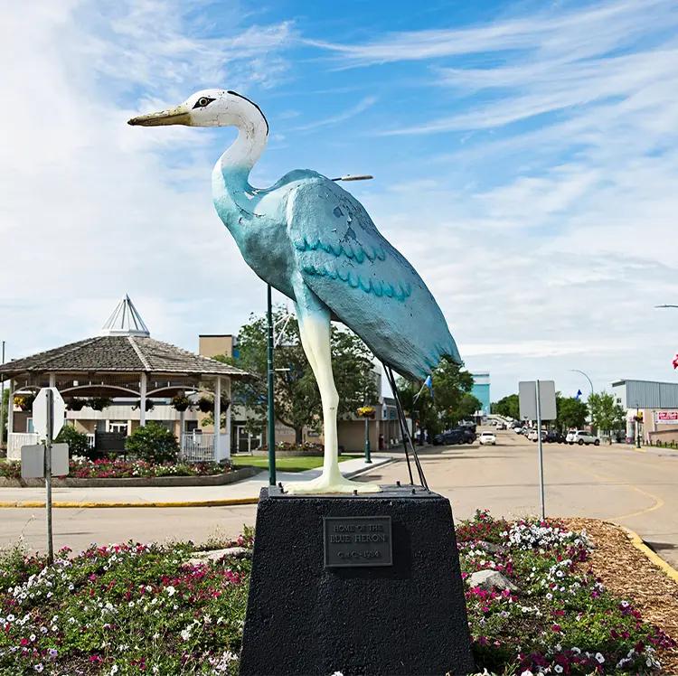 Barrhead Great Blue Heron